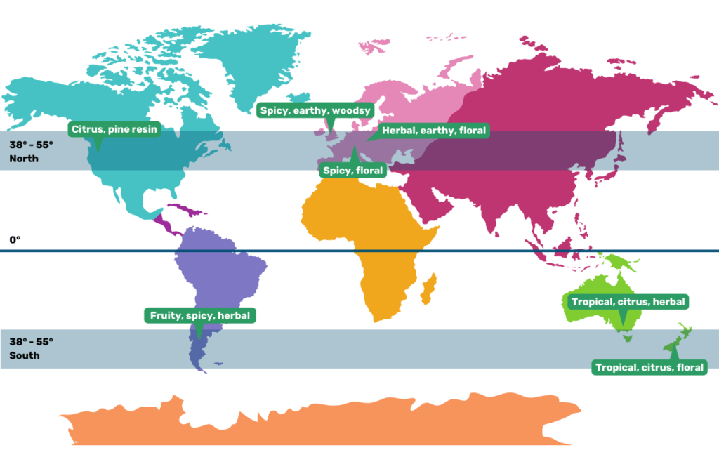 2026 Summer Global Hop Update