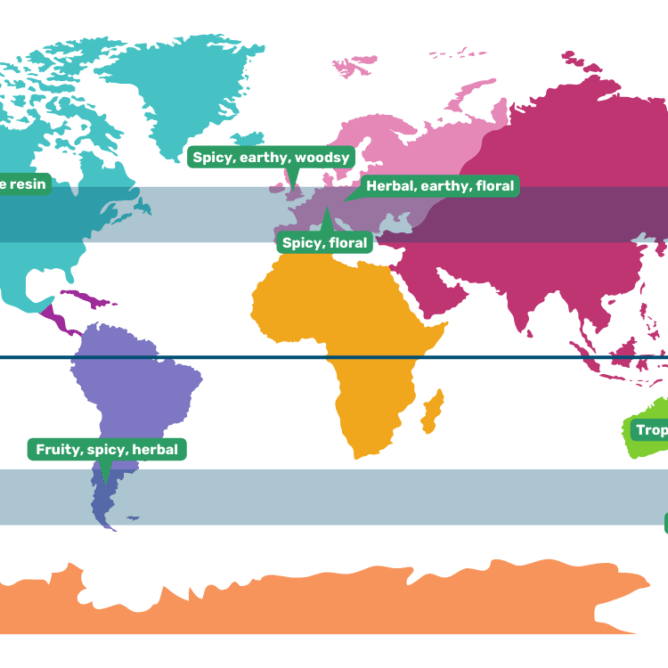 2026 Summer Global Hop Update