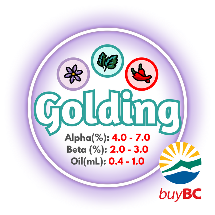 A graphic showing the brewing values of Canadian Grown Golding hops and a logo in the bottom right corner indicating the product is Buy BC certified.