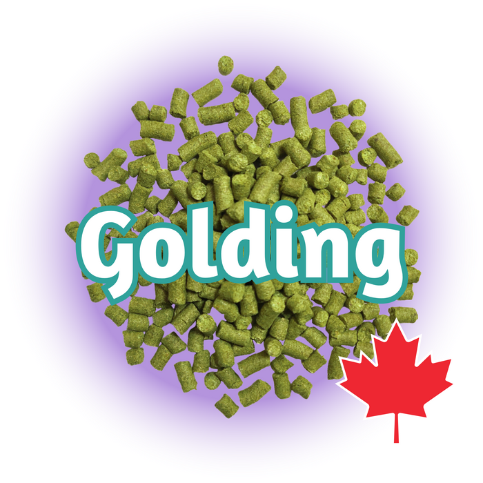 A pile of green Canadian Grown Golding hops pellets with the word 'Golding' written above and a Canadian flag symbol indicating the origin.