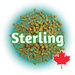 A graphic representation of Canadian Grown Sterling Hops T90 hop pellets with the name 'Sterling' displayed prominently in the center. A Canadian flag is also visible, indicating the origin of the hops.