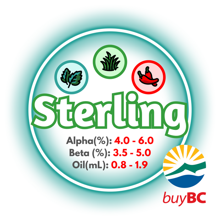 A graphic showing the brewing values of Canadian Grown Sterling Hops, surrounded by a blue-hued ring, with a logo in the corner indicating the product is Buy BC certified.