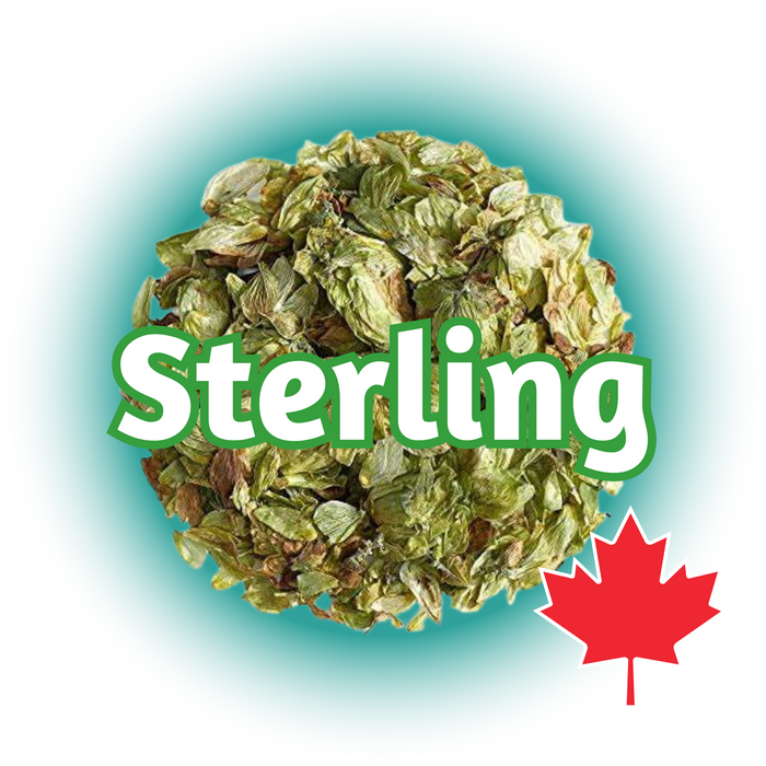 A close-up image of Canadian Grown Sterling Hops in dried Whole Cone form with the name 'Sterling' prominently displayed and a Canadian flag leaf in the bottom right corner.