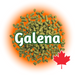 A graphic representation of Canadian Grown Galena hops pellets with the name 'Galena' displayed in large text and a Canadian maple leaf icon, indicating the origin.