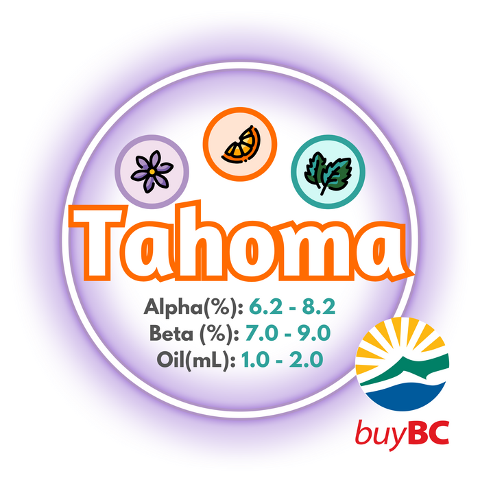 A graphic showing the brewing values of Canadian Grown Tahoma Hops, circled in purple with a logo in the lower right corner, showing the product is Buy BC certified.