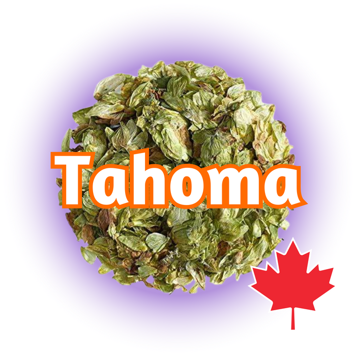 A cluster of Canadian Grown Tahoma hops in whole cone form, with the name 'Tahoma' overlayed, against a purple background with a Canadian flag symbol in the bottom right corner.