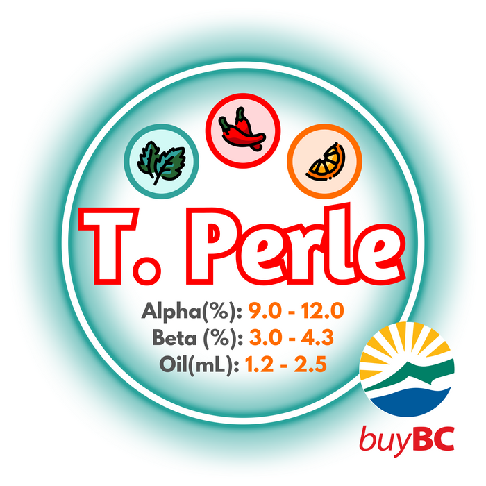 A graphic showing the brewing values of Canadian Grown Triple Perle hops with a bold text overlay reading 'T. Perle' and logo in the lower right corner indicating the products is Buy BC certified.