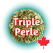 A graphic representation of Canadian Grown Triple Perle hops in whole cone with a label and a Canadian flag, indicating the product's origin.