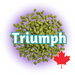 A pile of green Canadian Grown Triumph hops pellets with the word 'Triumph' written across and a Canadian flag symbol indicating the country of origin.