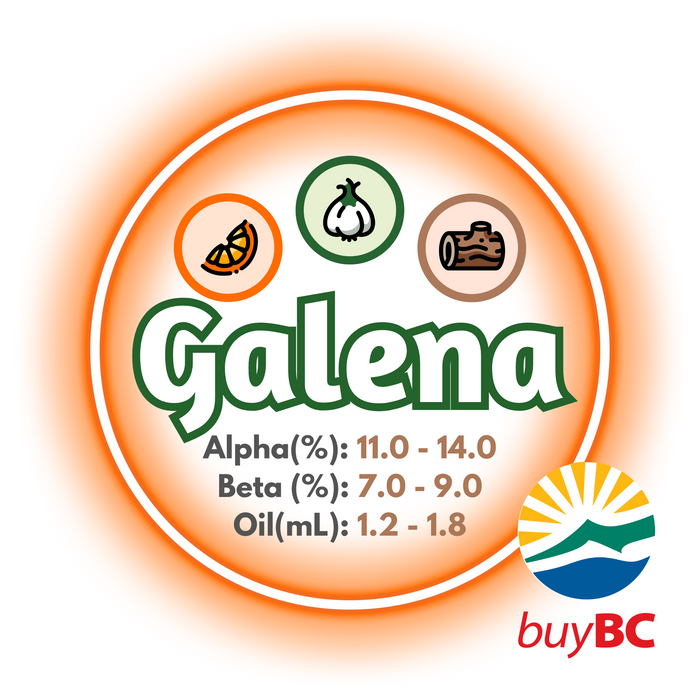 A graphic showing the brewing values of Canadian Grown Galena hops, with a logo in the lower right corner, indicating the product is Buy BC certified.