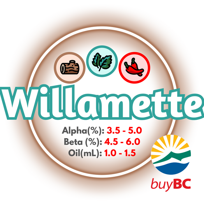 A graphic showing the brewing values of Canadian Grown Willamette hops, circled in brown and with a logo in the right, lower corner, indicating the product is Buy BC certified.