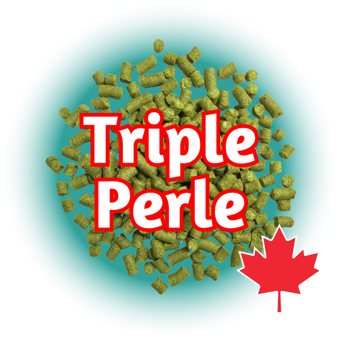 An image featuring a cluster of green Canadian Grown Triple Perle hops pellets with a bold text overlay reading 'Triple Perle' and a maple leaf indicating growing location origin.