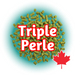 An image featuring a cluster of green Canadian Grown Triple Perle hops pellets with a bold text overlay reading 'Triple Perle' and a maple leaf indicating growing location origin.