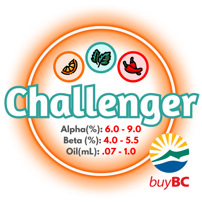 A graphic showing the brewing values of Canadian Grown Challenger Hops with the text 'Challenger' and logo in the bottom right indicating the product is Buy BC certified.