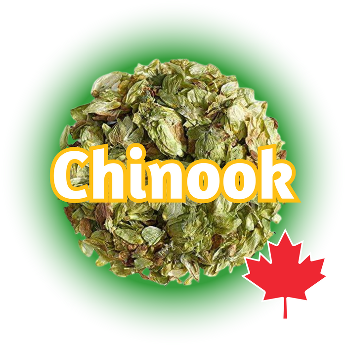 A bundle of dried Canadian Grown Chinook hops cones with a label indicating the variety and a Canadian flag, showing the product is from Canada.