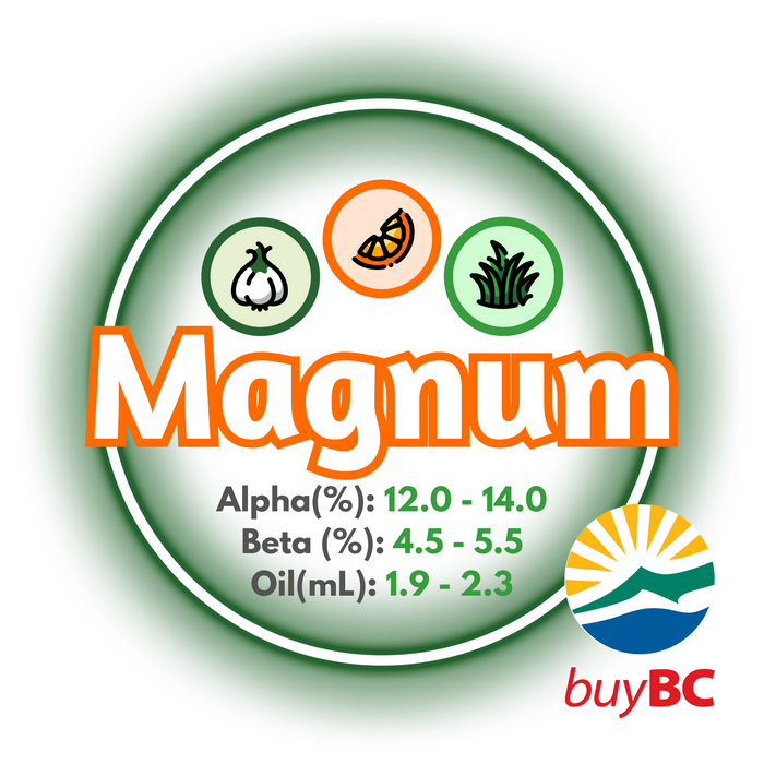 A graphic showing the brewing values of Canadian Grown Magnum hops surrounded by a green-hued ring and a logo in the lower right corner, indicating the product is Buy BC certified.