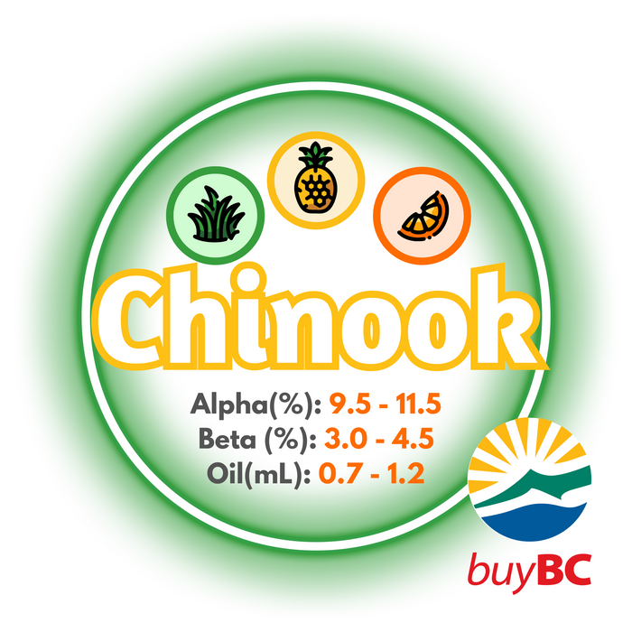 A graphic showing the brewing values of Canadian Grown Chinook hops pellets with a logo in the lower right corner, indicating the product is Buy BC Certified.