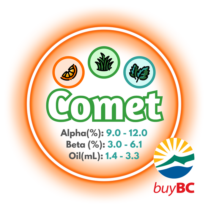 A graphic showing the brewing values of Canadian Grown Comet hops, with a logo in the bottom right corner indicated the product is Buy BC certified.