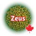 A pile of green Canadian Grown CTZ Zeus hops pellets with the name 'Zeus' written in white letters on the top, and a Canadian flag symbol in the bottom right corner.