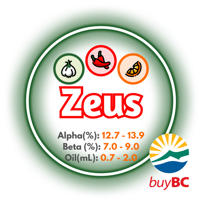 A graphic showing the brewing values of Canadian Grown CTZ Zeus hops with a logo in the bottom right corner, indicating the product is Buy BC certified.
