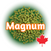 A graphic representation of green Canadian Grown Magnum hops T90 pellets with the name 'Magnum' written across and a Canadian flag logo.