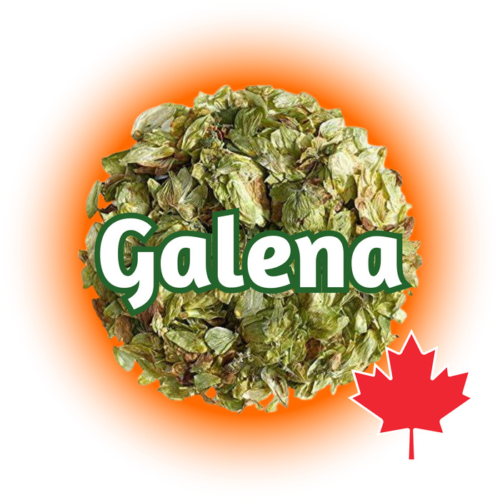 A close-up image of dried Canadian Grown Galena hops cones with leaves and a maple leaf, indicating the country of origin.