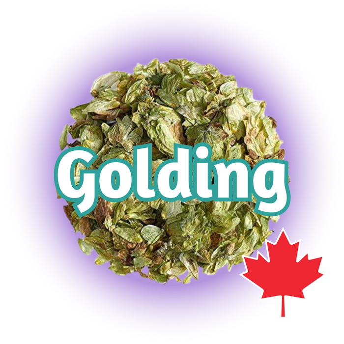 A image of dried Canadian Grown Golding hops in whole cone form, predominantly green with some yellowish tones, with a maple leaf in the lower right corner showing country of origin.