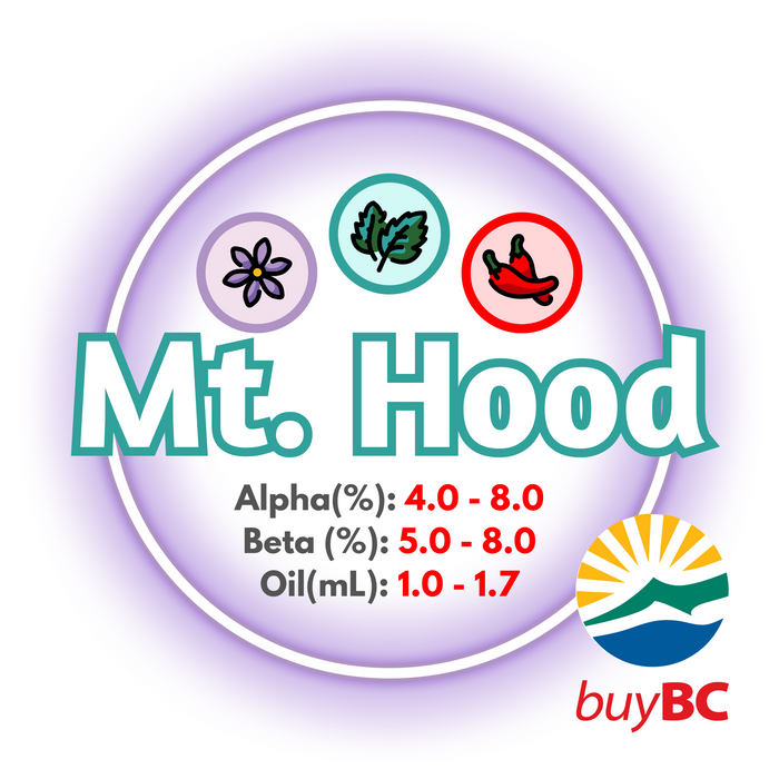 A graphic showing the brewing values of Canadian Grown Mt Hood hops in a purple-hued circle with a logo in the right bottom corner, showing the product is certified Buy BC.