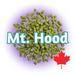 A pile of green Canadian Grown Mt Hood hop pellets with the text 'Mt. Hood' and a maple leaf in the bottom right corner.