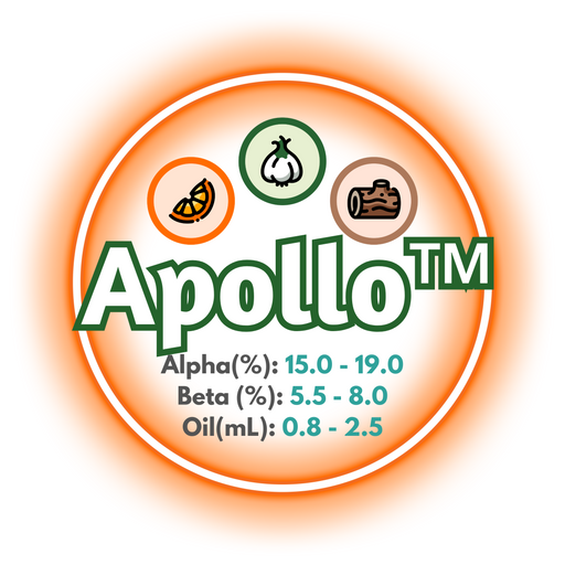 A graphic showing the brewing values of US Apollo™ Hops, circled in orange on a white background.