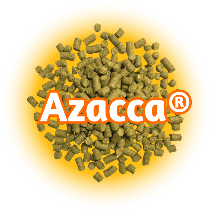 A pile of green Azacca® Hops T90 pellets with the Azacca logo visible on the packaging.