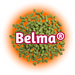 Green Belma® Hops T90 pellets on a bed of orange on a white background.