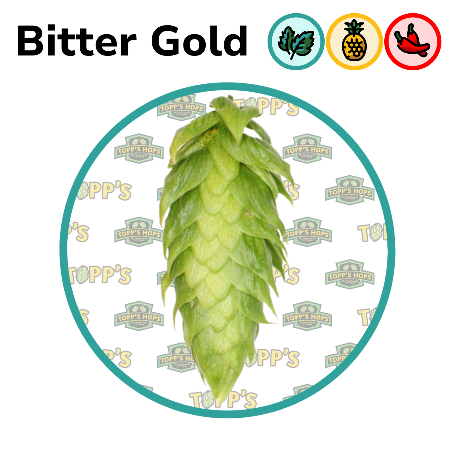 Green hop cone of Topp's Homegrown Bitter Gold with flavour icons and Topp's Hops branding.