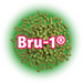 A close-up of US Bru-1® hops T90 pellets, which are green in color, with the Bru-1 brand logo displayed in the centre.