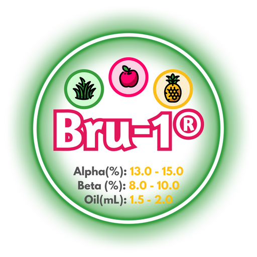 A graphic showing the brewing values of US Bru-1® hops, ringed in green on a white background.