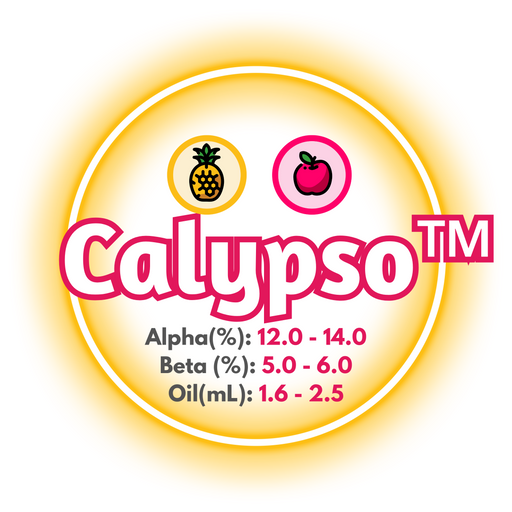 A graphic showing the brewing values of US Calypso™ hops, in a yellow circle on a white background.