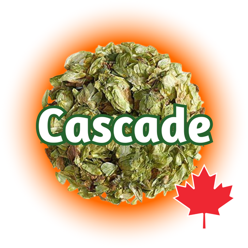 A graphic representation of whole cone Canadian Grown Cascade hops with the name 'Cascade' written across and a Canadian maple leaf symbol in the bottom right corner.