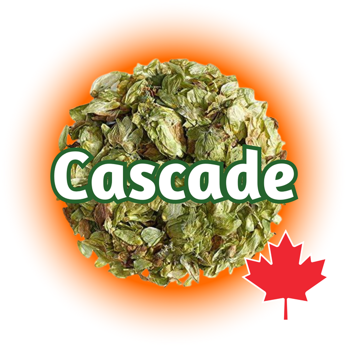 A graphic representation of whole cone Canadian Grown Cascade hops with the name 'Cascade' written across and a Canadian maple leaf symbol in the bottom right corner.
