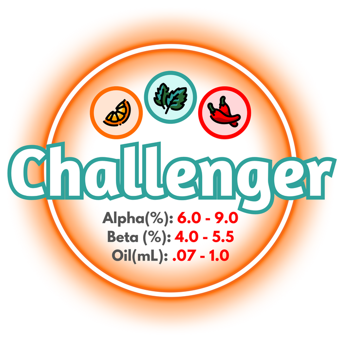 A graphic showing the brewing values of Canadian Grown Challenger hops, with 3 icons showing the aromas in the hop variety.