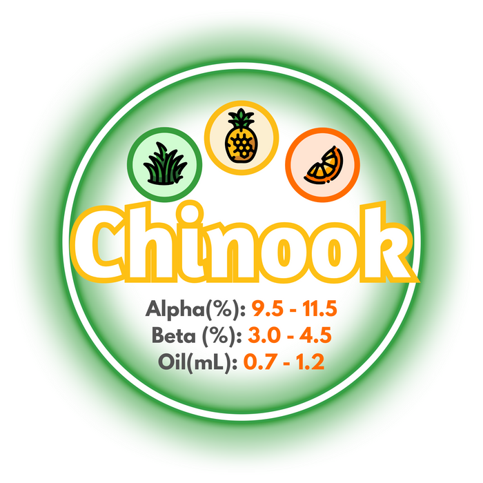 A graphic showing the brewing values of Canadian Grown Chinook hops.