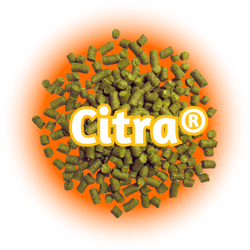 A pile of green Citra® Hops T90 pellets with the Citra logo prominently displayed in the centre against an orange background.