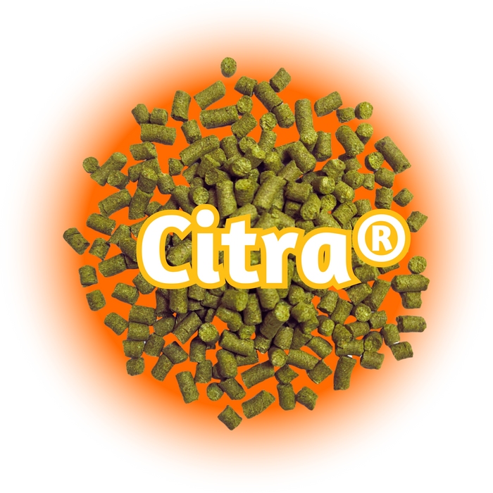 A pile of green Citra® Hops T90 pellets with the Citra logo prominently displayed in the centre against an orange background.