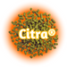 A pile of green Citra® Hops T90 pellets with the Citra logo prominently displayed in the centre against an orange background.