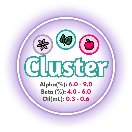 A graphic showing the brewing values of US Cluster Hops, ringed in lavender on a white background.