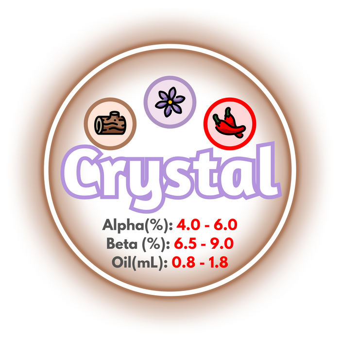 A graphic showing the brewing values of US Crystal hops, ringed in brown on a white background.