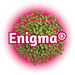 A pile of green Enigma® Hops T90 pellets against a pink to red gradient background, with the Enigma logo in the centre.
