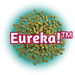 Green US Eureka!™ Hops in pellet form on a bed of teal, with the trademarked name outlined in red, on a white background.