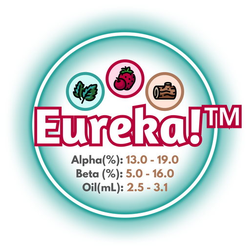 A graphic showing the brewing values of US Eureka!™ Hops, circled in teal on a white background.