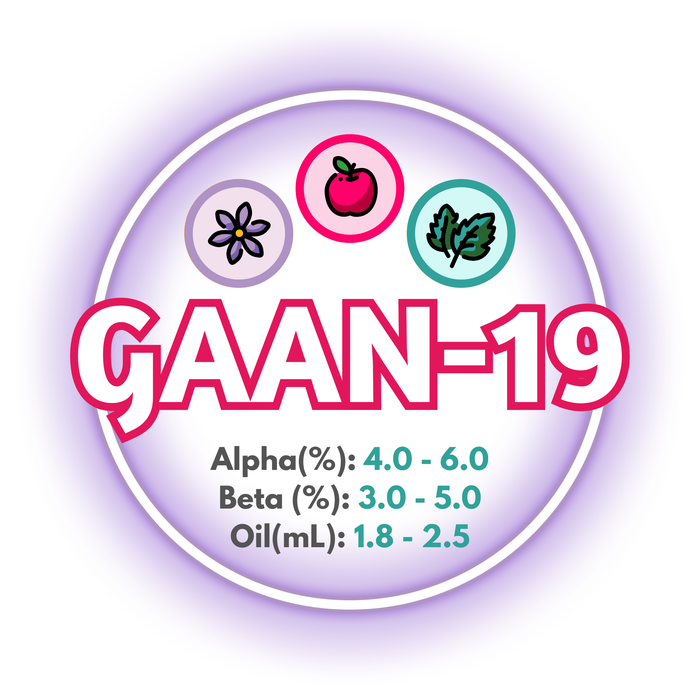 GAAN-19 Experimental T90 Hop Pellets