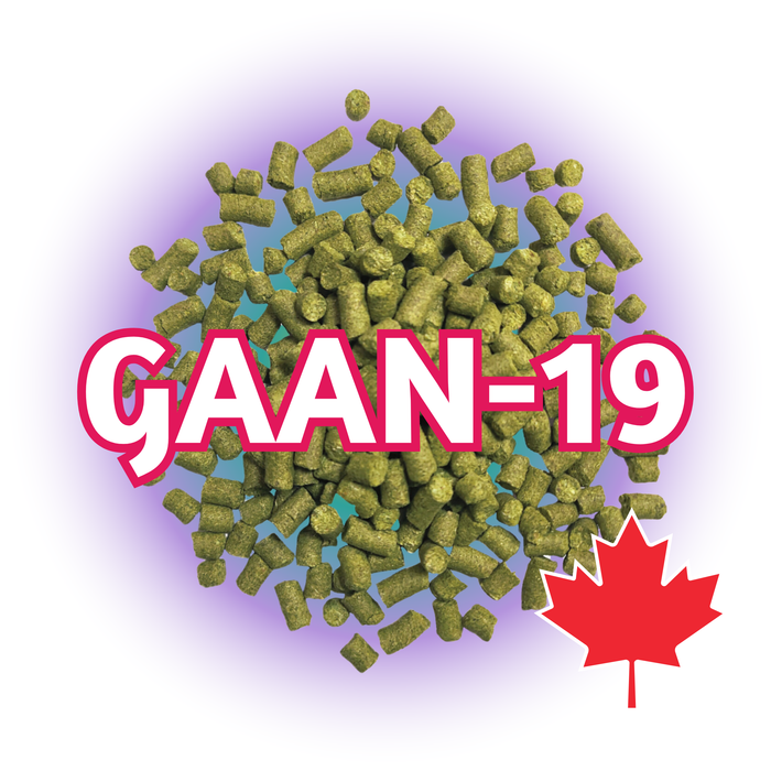 GAAN-19 Experimental T90 Hop Pellets